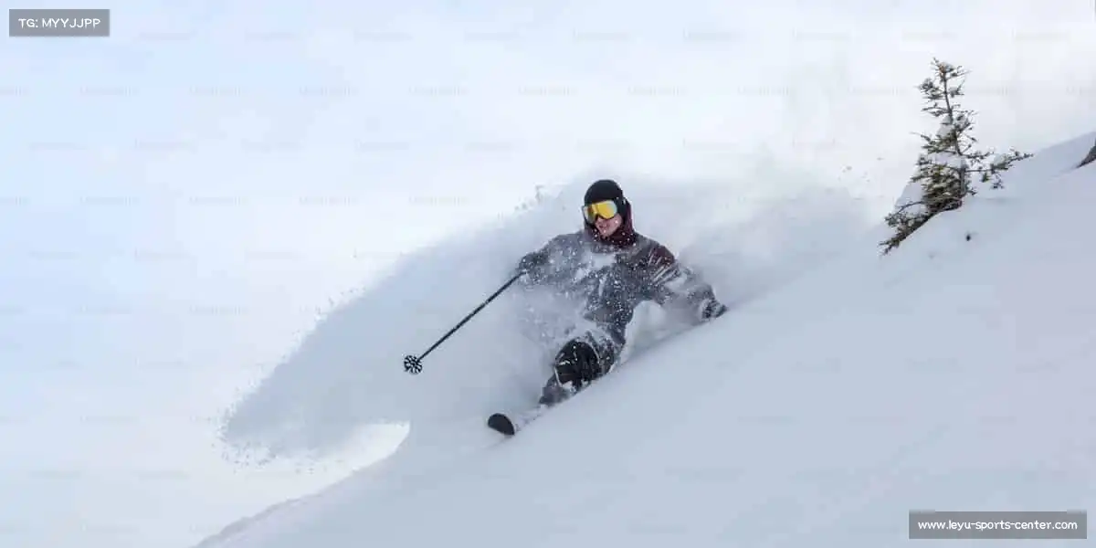 行业领先的理由